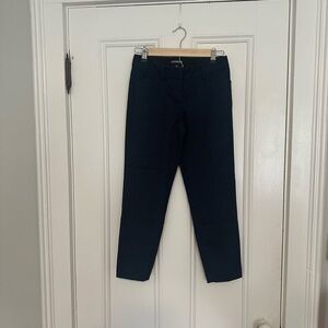 Express Navy Blue Pants